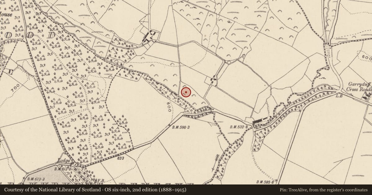 Ordnance Survey six-inch map, 2nd edition (1888–1915) covering the location of Fulacht fia, Moyntiagh, County Wicklow, with a pin at the register's coordinates