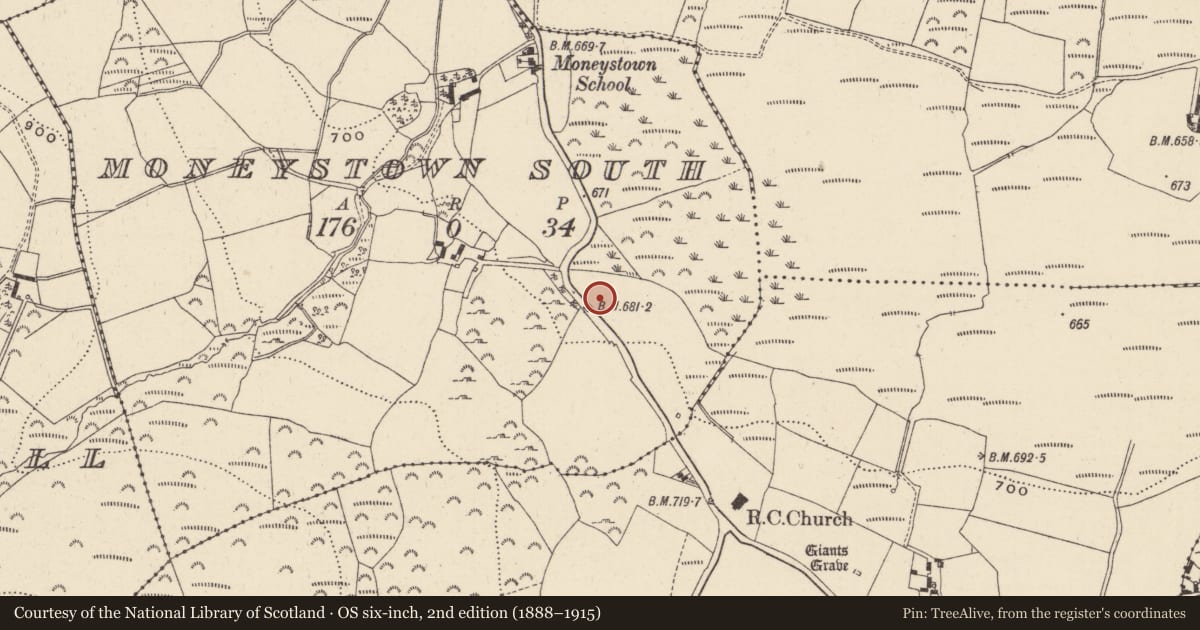 Ordnance Survey six-inch map, 2nd edition (1888–1915) covering the location of Enclosure, Moneystown South, County Wicklow, with a pin at the register's coordinates
