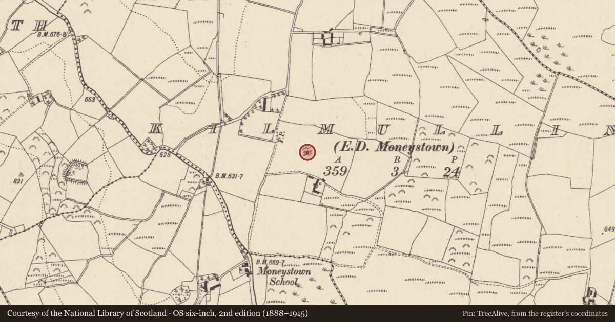 Ordnance Survey six-inch map, 2nd edition (1888–1915) covering the location of Cairn - unclassified, Kilmullin, County Wicklow, with a pin at the register's coordinates