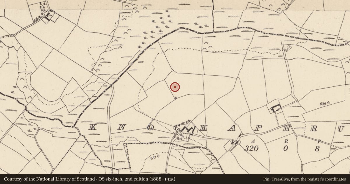 Ordnance Survey six-inch map, 2nd edition (1888–1915) covering the location of Ringfort - cashel, Knockaphrumpa, County Wicklow, with a pin at the register's coordinates