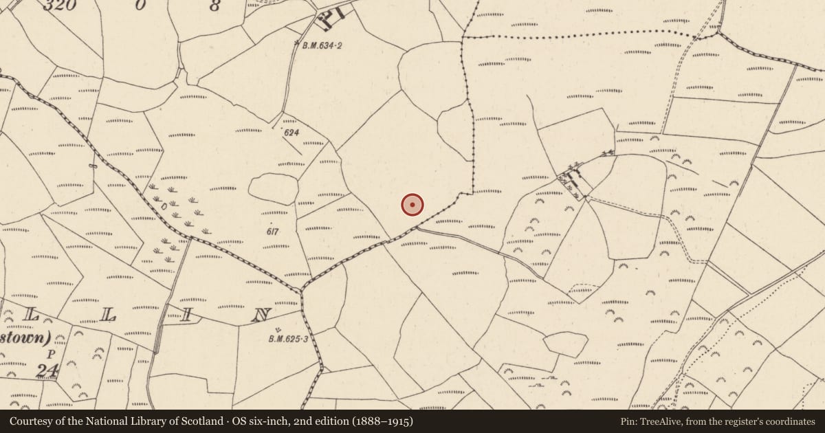 Ordnance Survey six-inch map, 2nd edition (1888–1915) covering the location of Ringfort - cashel, Knockaphrumpa, County Wicklow, with a pin at the register's coordinates