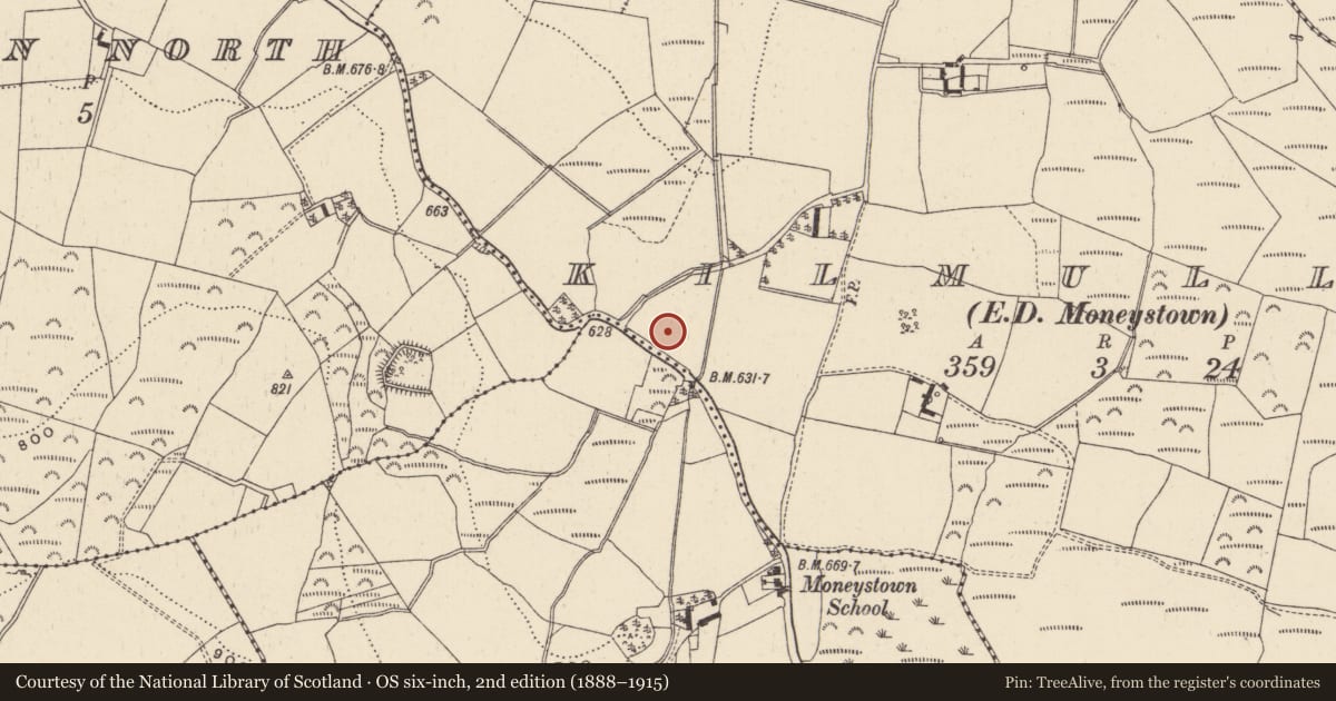 Ordnance Survey six-inch map, 2nd edition (1888–1915) covering the location of Church, Kilmullin, County Wicklow, with a pin at the register's coordinates