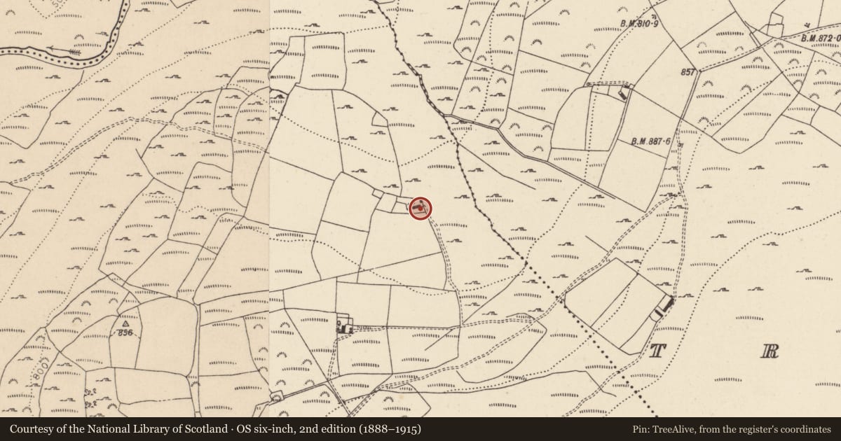 Ordnance Survey six-inch map, 2nd edition (1888–1915) covering the location of Bullaun stone, Ballard, County Wicklow, with a pin at the register's coordinates