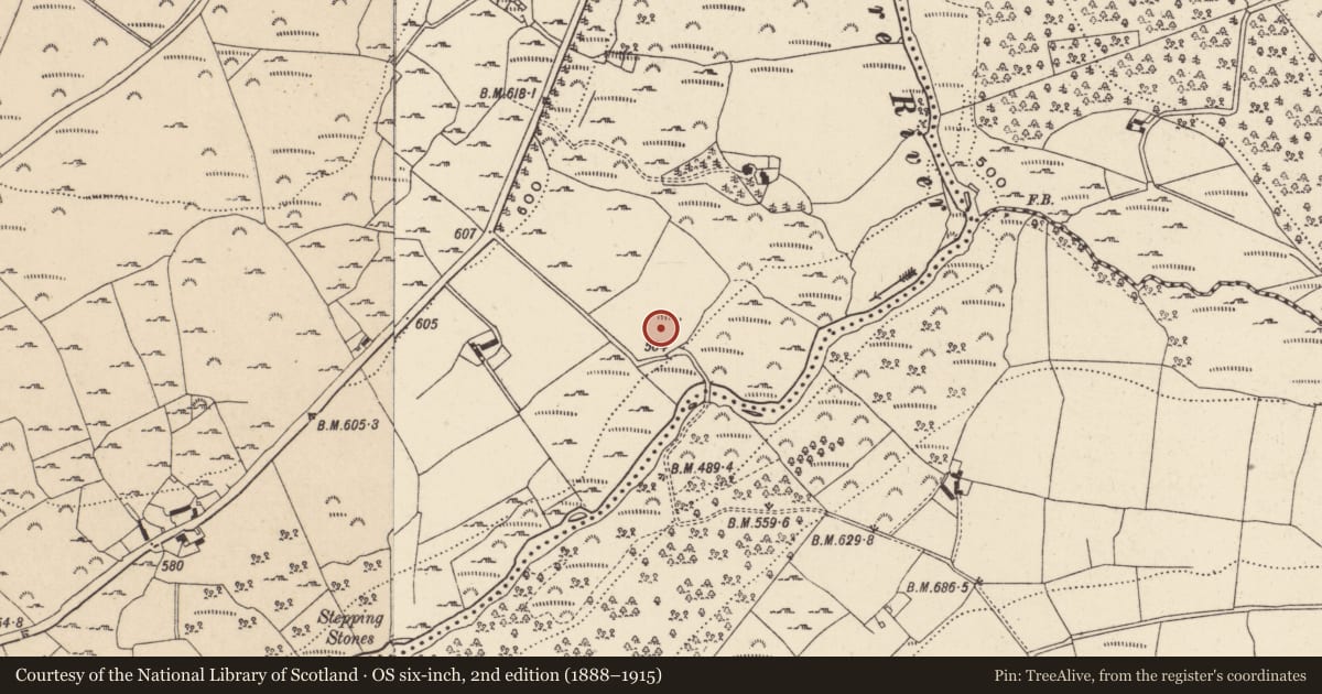 Ordnance Survey six-inch map, 2nd edition (1888–1915) covering the location of Bullaun stone, Laragh East, County Wicklow, with a pin at the register's coordinates