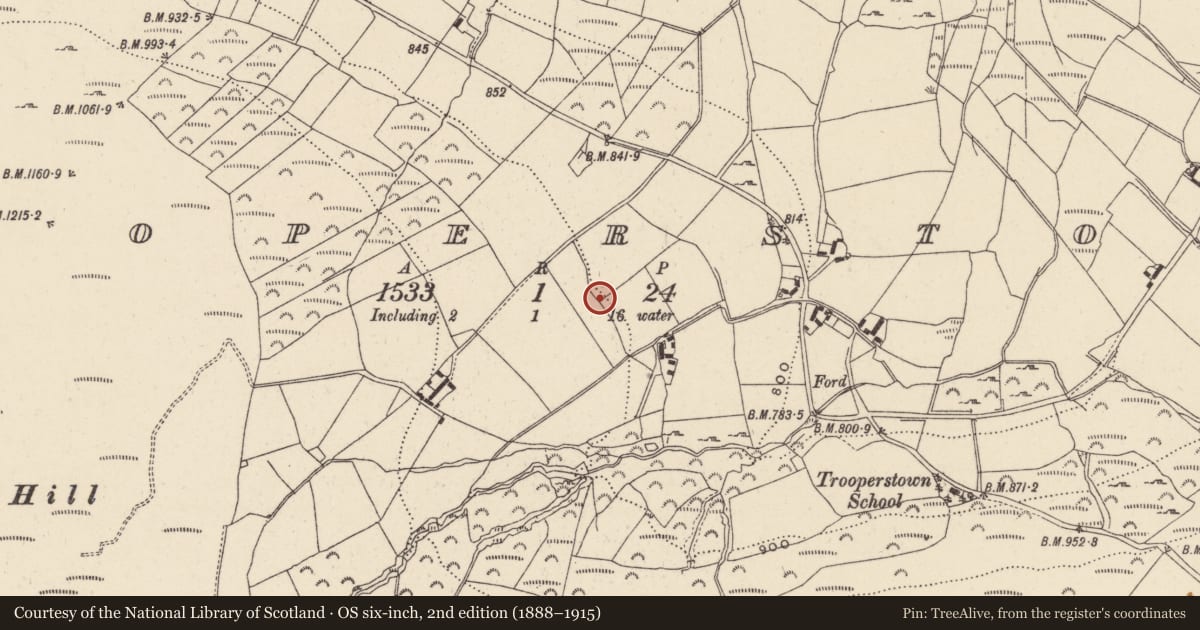 Ordnance Survey six-inch map, 2nd edition (1888–1915) covering the location of Bullaun stone, Trooperstown, County Wicklow, with a pin at the register's coordinates