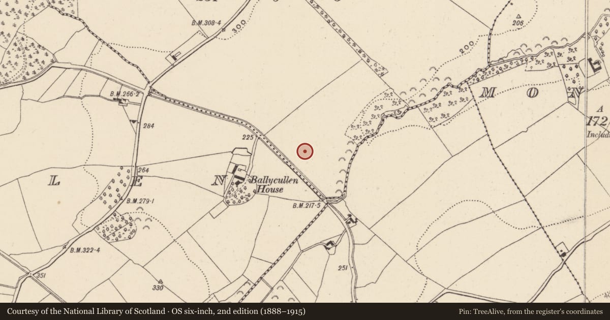 Ordnance Survey six-inch map, 2nd edition (1888–1915) covering the location of Enclosure, Ballardbeg, County Wicklow, with a pin at the register's coordinates
