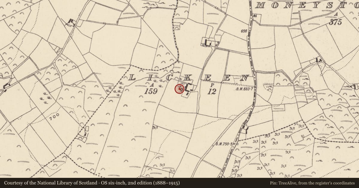 Ordnance Survey six-inch map, 2nd edition (1888–1915) covering the location of Bullaun stone (present location), Lickeen, County Wicklow, with a pin at the register's coordinates
