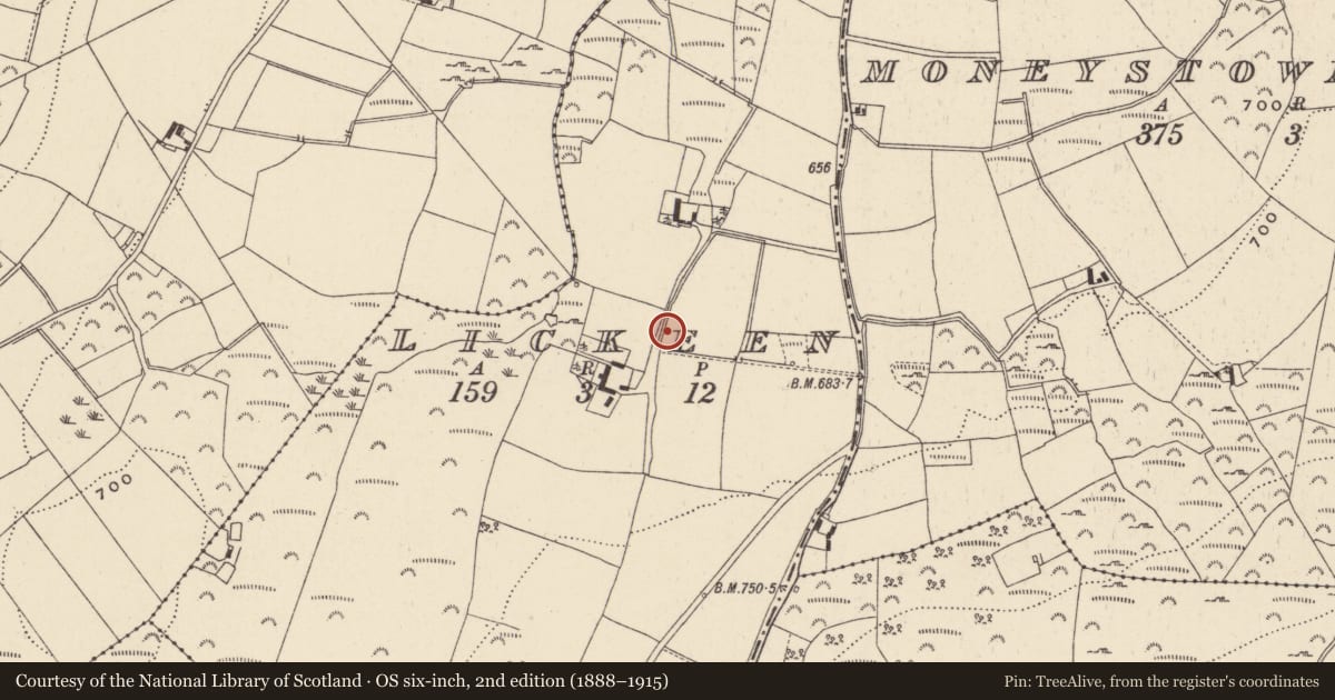 Ordnance Survey six-inch map, 2nd edition (1888–1915) covering the location of Bullaun stone, Lickeen, County Wicklow, with a pin at the register's coordinates