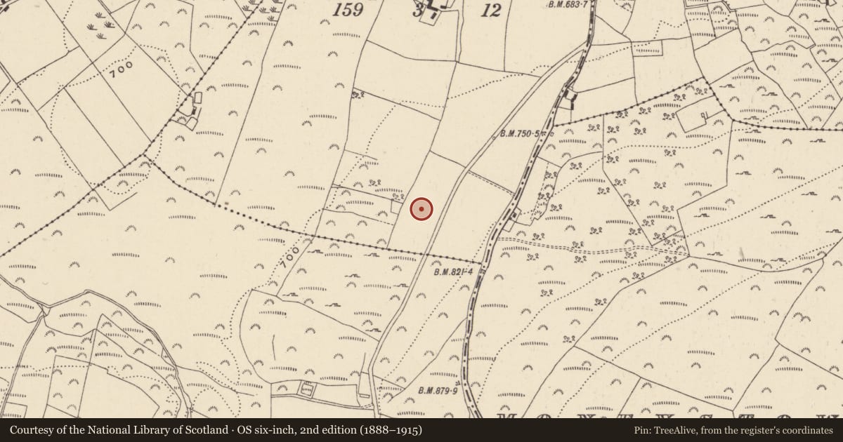 Ordnance Survey six-inch map, 2nd edition (1888–1915) covering the location of Bullaun stone, Lickeen, County Wicklow, with a pin at the register's coordinates