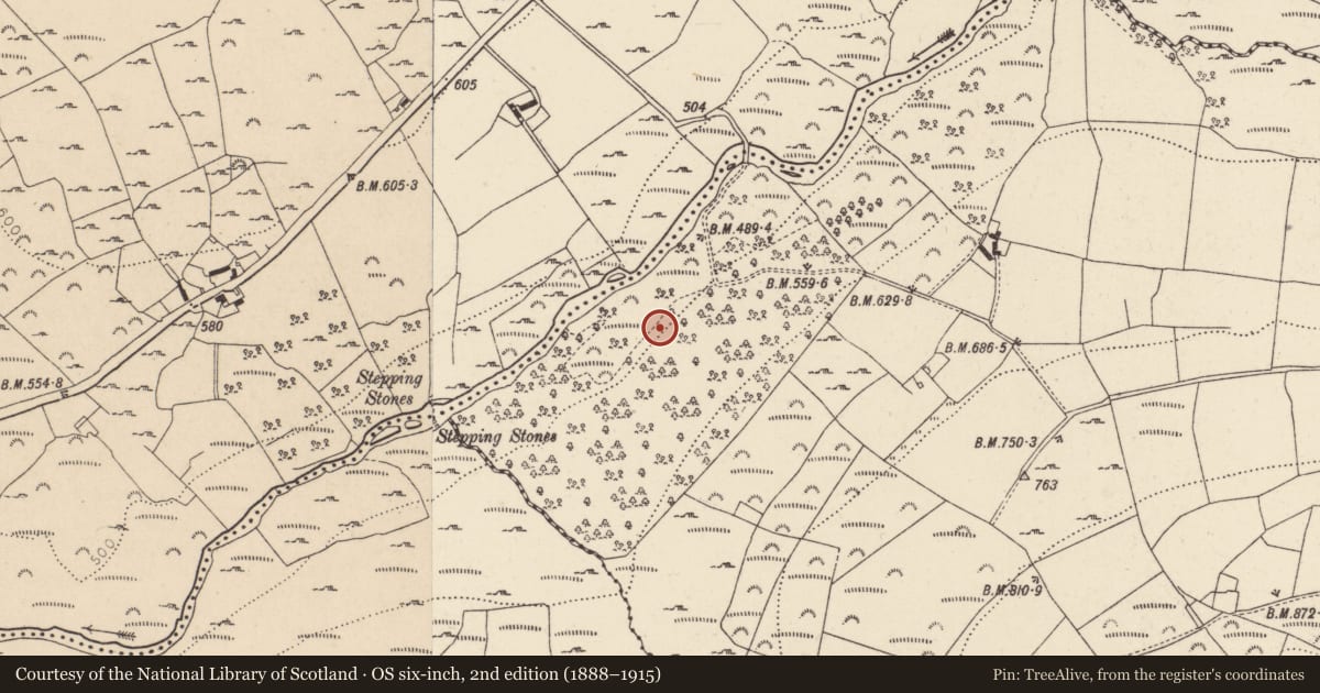 Ordnance Survey six-inch map, 2nd edition (1888–1915) covering the location of Charcoal-making site, Trooperstown, County Wicklow, with a pin at the register's coordinates