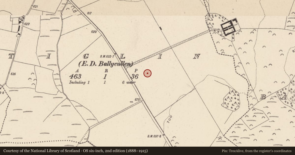 Ordnance Survey six-inch map, 2nd edition (1888–1915) covering the location of Mound, Tiglin, County Wicklow, with a pin at the register's coordinates