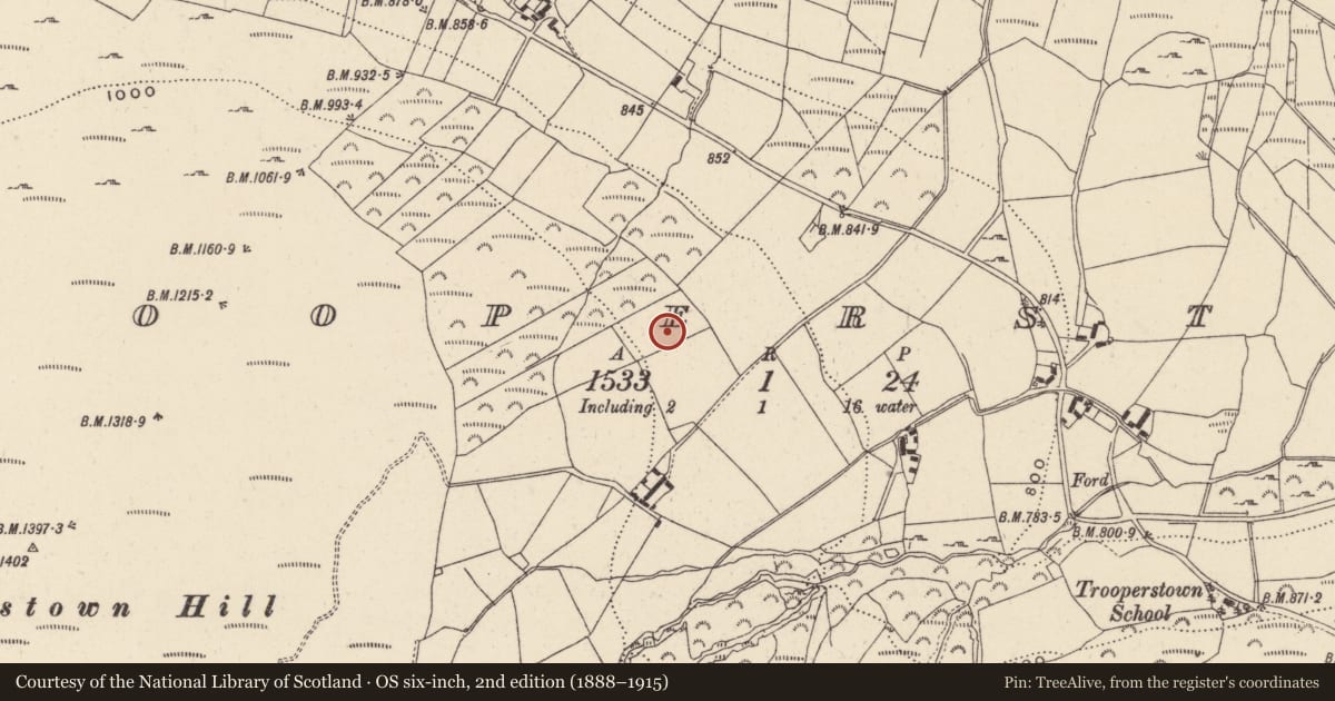 Ordnance Survey six-inch map, 2nd edition (1888–1915) covering the location of Bullaun stone, Trooperstown, County Wicklow, with a pin at the register's coordinates