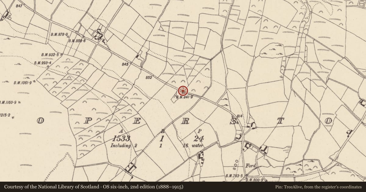 Ordnance Survey six-inch map, 2nd edition (1888–1915) covering the location of Ritual site - holy well, Trooperstown, County Wicklow, with a pin at the register's coordinates