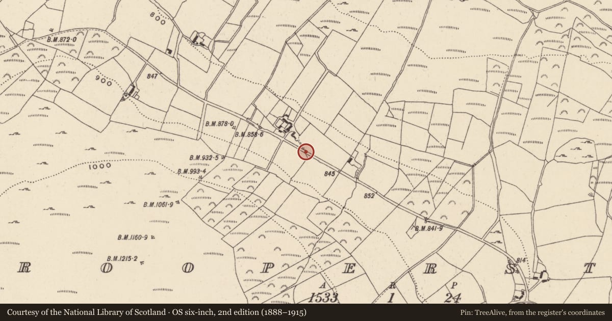 Ordnance Survey six-inch map, 2nd edition (1888–1915) covering the location of Ogham stone (present location), Trooperstown, County Wicklow, with a pin at the register's coordinates