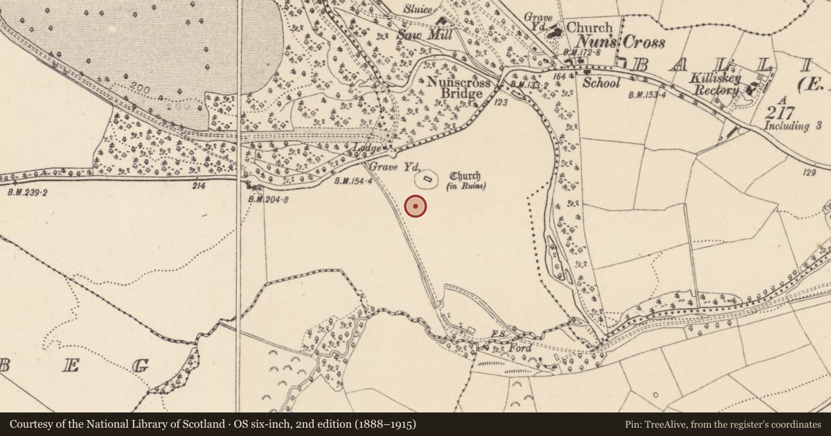 Ordnance Survey six-inch map, 2nd edition (1888–1915) covering the location of Metalworking site, Ballymaghroe, County Wicklow, with a pin at the register's coordinates