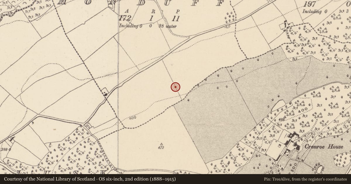 Ordnance Survey six-inch map, 2nd edition (1888–1915) covering the location of Enclosure, Monduff, County Wicklow, with a pin at the register's coordinates
