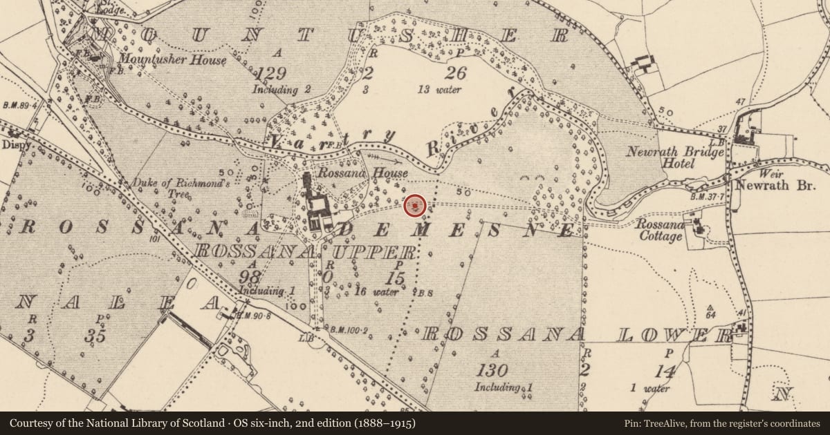Ordnance Survey six-inch map, 2nd edition (1888–1915) covering the location of Mound, Rossana Upper, County Wicklow, with a pin at the register's coordinates