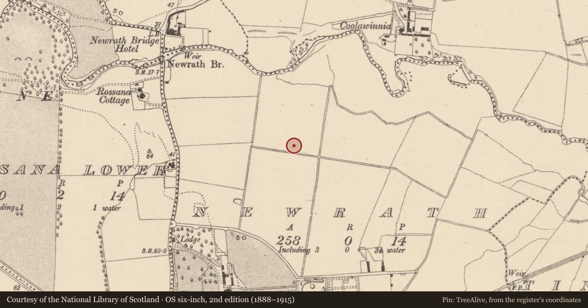 Ordnance Survey six-inch map, 2nd edition (1888–1915) covering the location of Ringfort - unclassified, Newrath, County Wicklow, with a pin at the register's coordinates