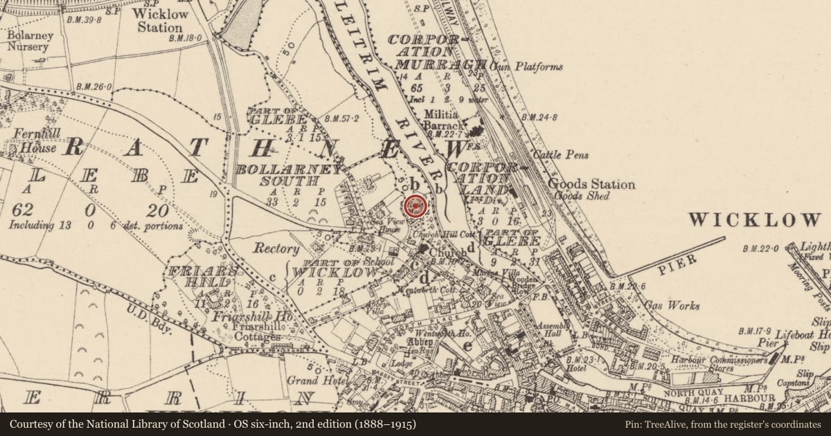 Ordnance Survey six-inch map, 2nd edition (1888–1915) covering the location of Castle - motte, Corporation Land (1st division), County Wicklow, with a pin at the register's coordinates