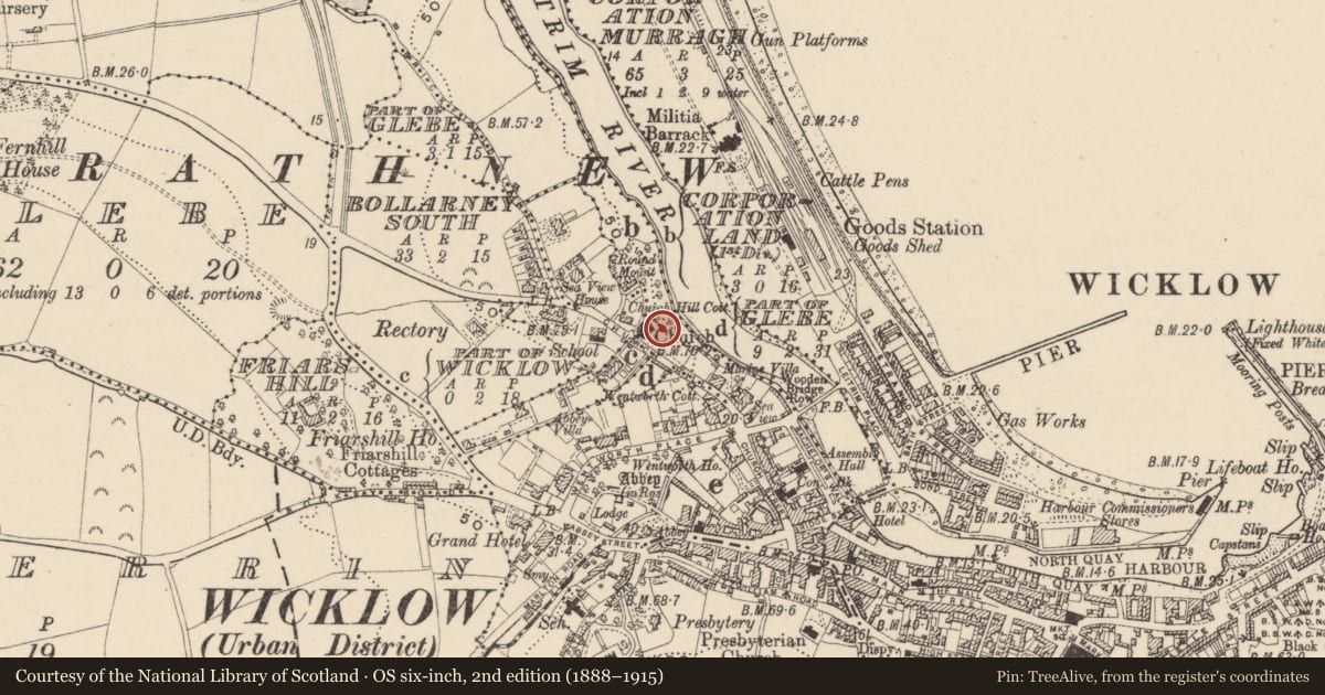 Ordnance Survey six-inch map, 2nd edition (1888–1915) covering the location of Church, Glebe (Detached portion), County Wicklow, with a pin at the register's coordinates