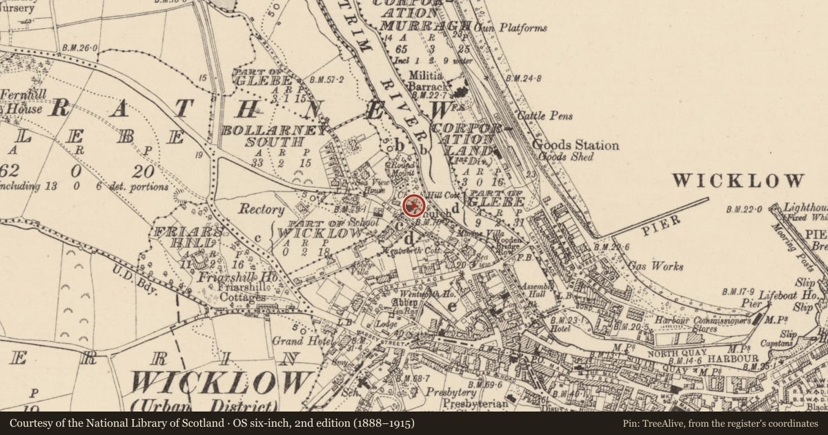 Ordnance Survey six-inch map, 2nd edition (1888–1915) covering the location of Font (present location), Glebe (Detached portion), County Wicklow, with a pin at the register's coordinates