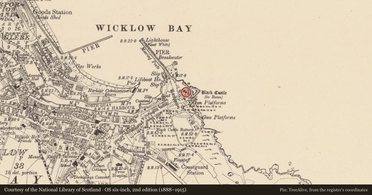 Ordnance Survey six-inch map, 2nd edition (1888–1915) covering the location of Promontory fort - coastal, Corporation Lands, County Wicklow, with a pin at the register's coordinates