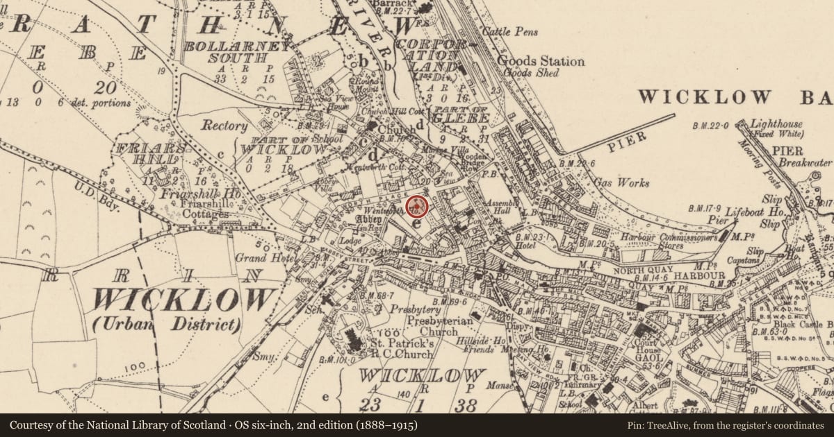 Ordnance Survey six-inch map, 2nd edition (1888–1915) covering the location of Habitation site, Wicklow, with a pin at the register's coordinates