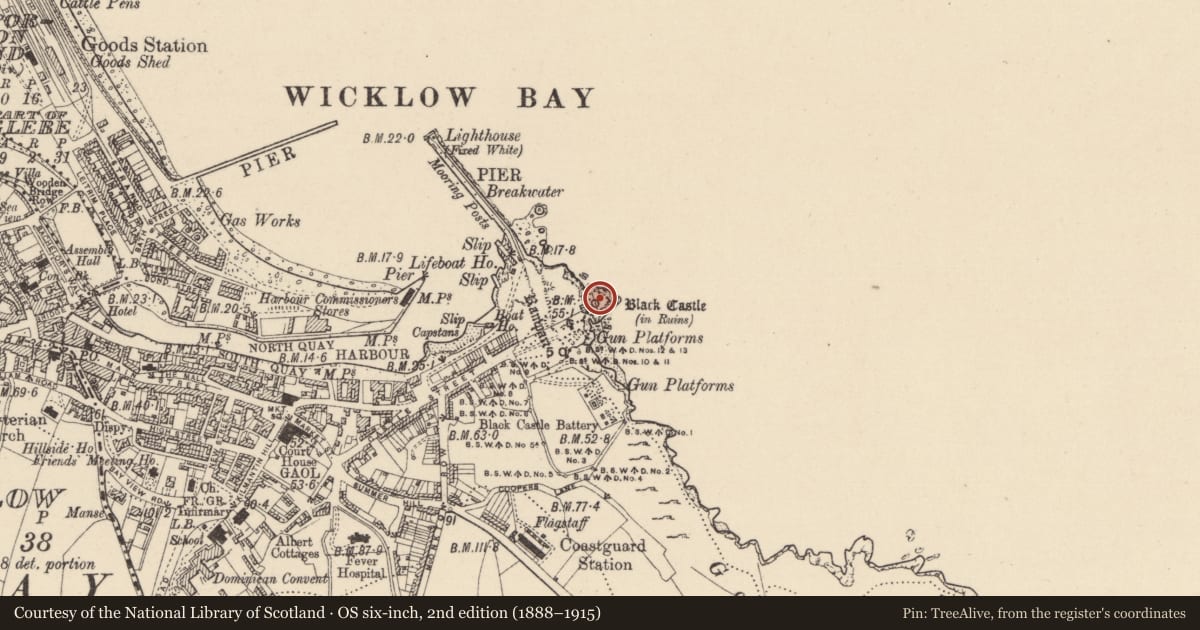 Ordnance Survey six-inch map, 2nd edition (1888–1915) covering the location of Castle - Anglo-Norman masonry castle, Corporation Lands, County Wicklow, with a pin at the register's coordinates