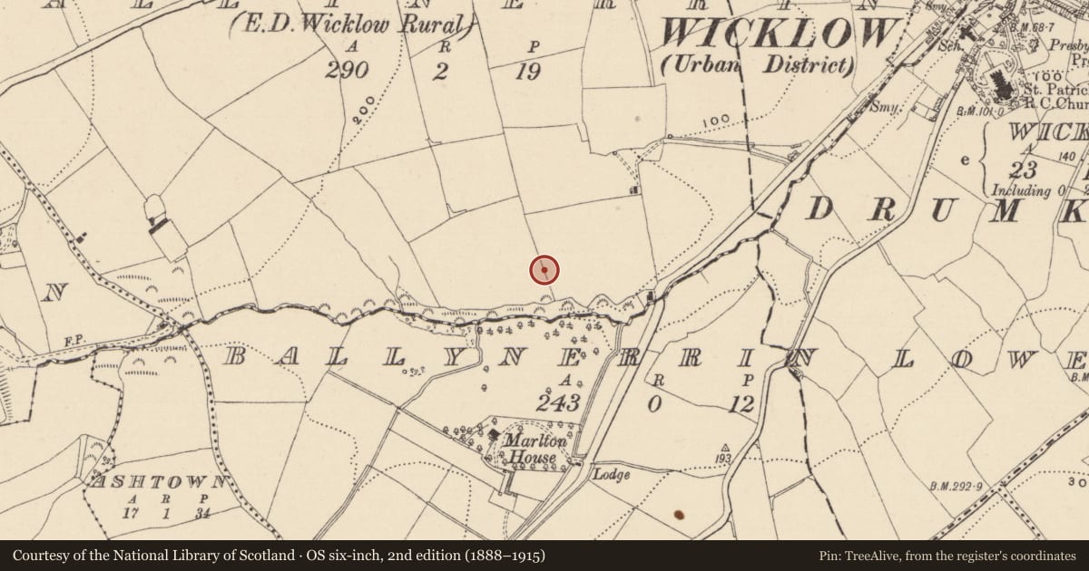 Ordnance Survey six-inch map, 2nd edition (1888–1915) covering the location of Cist, Ballynerrin, County Wicklow, with a pin at the register's coordinates