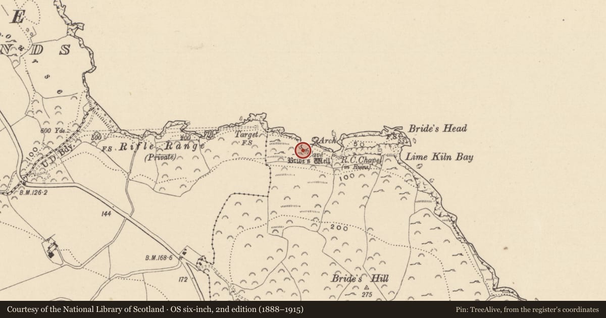 Ordnance Survey six-inch map, 2nd edition (1888–1915) covering the location of Souterrain, Dunbur Head, County Wicklow, with a pin at the register's coordinates