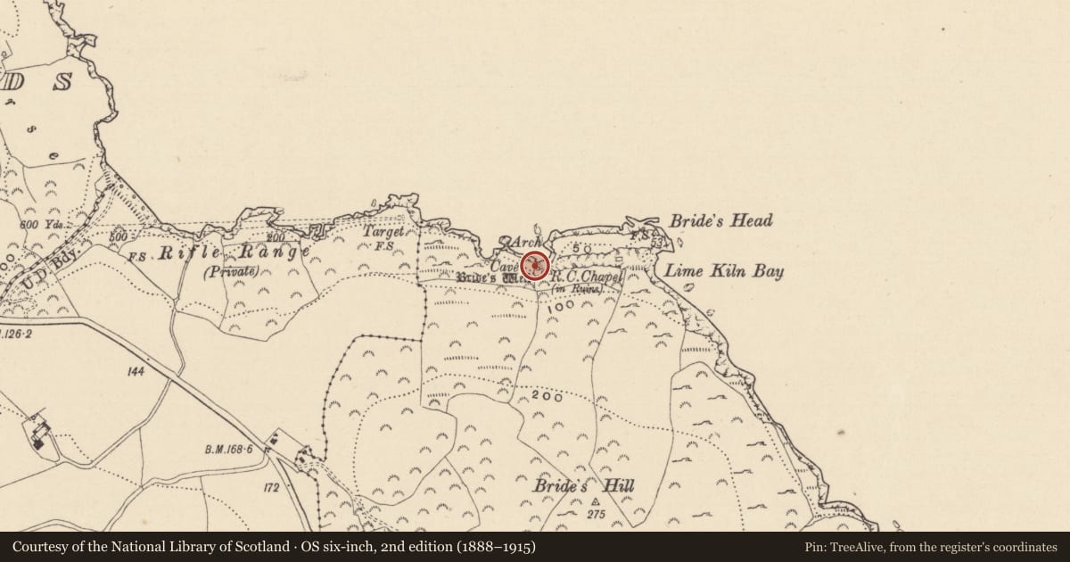 Ordnance Survey six-inch map, 2nd edition (1888–1915) covering the location of Ritual site - holy well, Dunbur Head, County Wicklow, with a pin at the register's coordinates