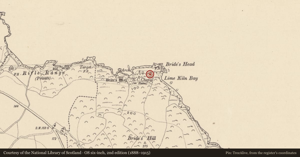 Ordnance Survey six-inch map, 2nd edition (1888–1915) covering the location of Church, Dunbur Head, County Wicklow, with a pin at the register's coordinates