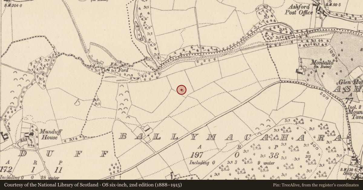 Ordnance Survey six-inch map, 2nd edition (1888–1915) covering the location of Ritual site - holy well, Ballymacahara, County Wicklow, with a pin at the register's coordinates