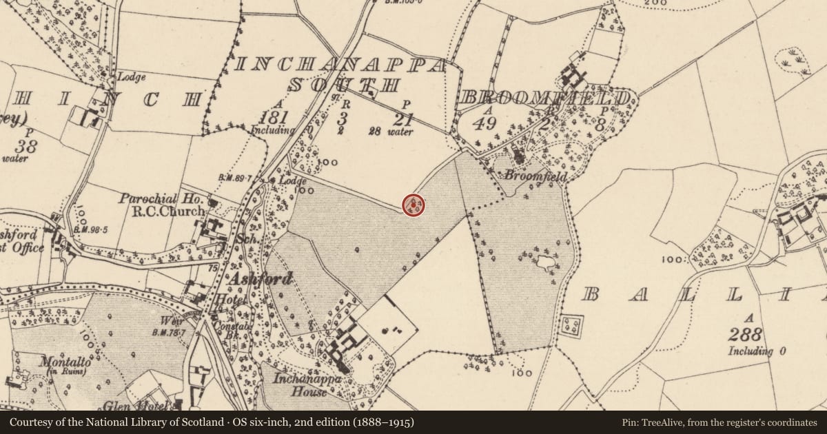 Ordnance Survey six-inch map, 2nd edition (1888–1915) covering the location of Church, Inchanappa South, County Wicklow, with a pin at the register's coordinates