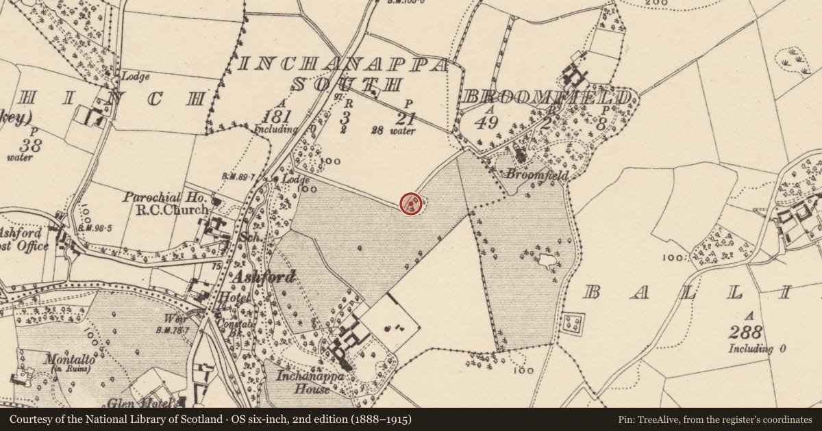 Ordnance Survey six-inch map, 2nd edition (1888–1915) covering the location of Font, Inchanappa South, County Wicklow, with a pin at the register's coordinates