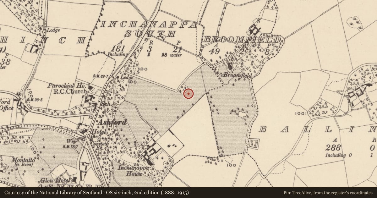 Ordnance Survey six-inch map, 2nd edition (1888–1915) covering the location of Excavation - miscellaneous, Inchanappa South, County Wicklow, with a pin at the register's coordinates