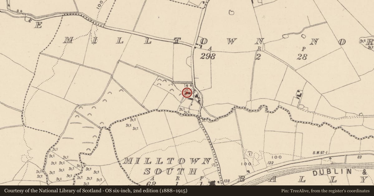 Ordnance Survey six-inch map, 2nd edition (1888–1915) covering the location of Castle - unclassified, Milltown North, County Wicklow, with a pin at the register's coordinates
