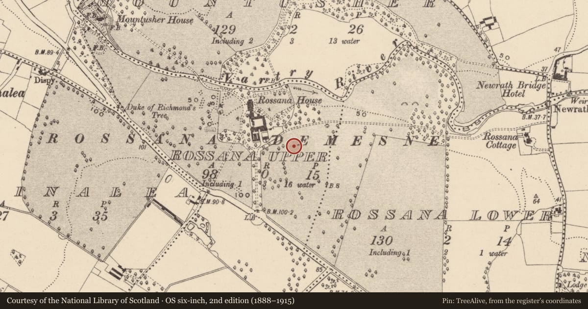 Ordnance Survey six-inch map, 2nd edition (1888–1915) covering the location of Ring-ditch, Rossana Upper, County Wicklow, with a pin at the register's coordinates