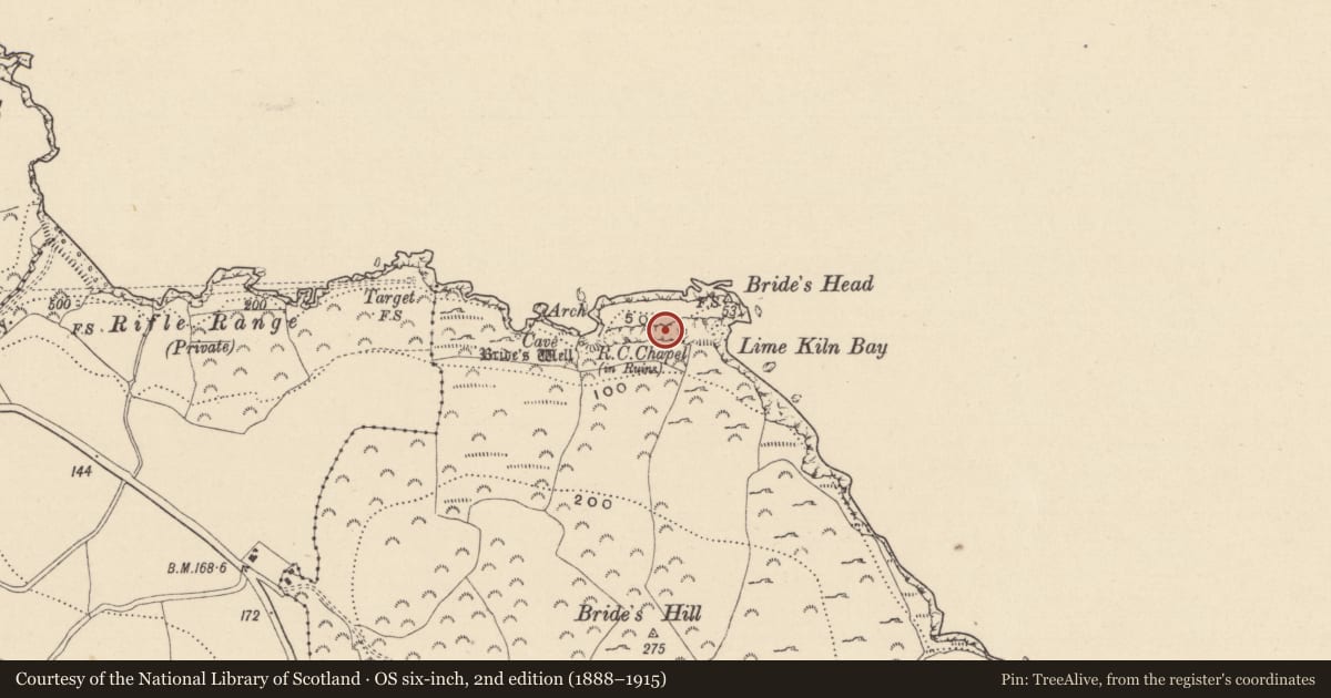 Ordnance Survey six-inch map, 2nd edition (1888–1915) covering the location of Cave, Dunbur Head, County Wicklow, with a pin at the register's coordinates