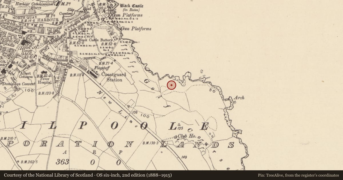 Ordnance Survey six-inch map, 2nd edition (1888–1915) covering the location of Prehistoric site - lithic scatter, Corporation Lands, County Wicklow, with a pin at the register's coordinates