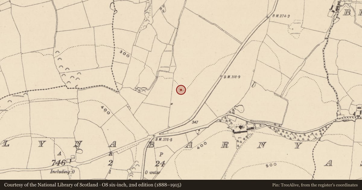 Ordnance Survey six-inch map, 2nd edition (1888–1915) covering the location of Fulacht fia, Ballynabarny, County Wicklow, with a pin at the register's coordinates