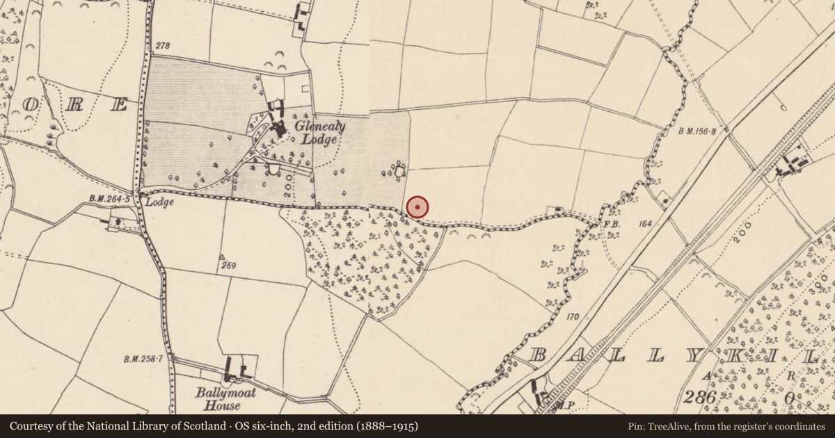Ordnance Survey six-inch map, 2nd edition (1888–1915) covering the location of Fulacht fia, Coolnakilly, County Wicklow, with a pin at the register's coordinates