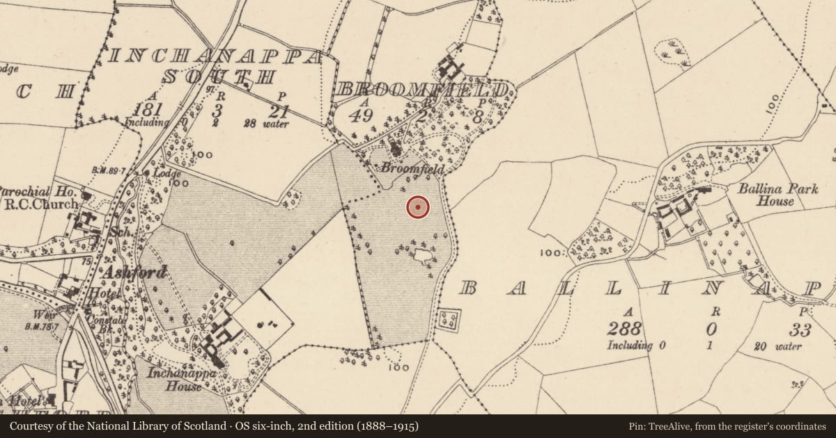 Ordnance Survey six-inch map, 2nd edition (1888–1915) covering the location of Burnt spread, Broomfield, County Wicklow, with a pin at the register's coordinates