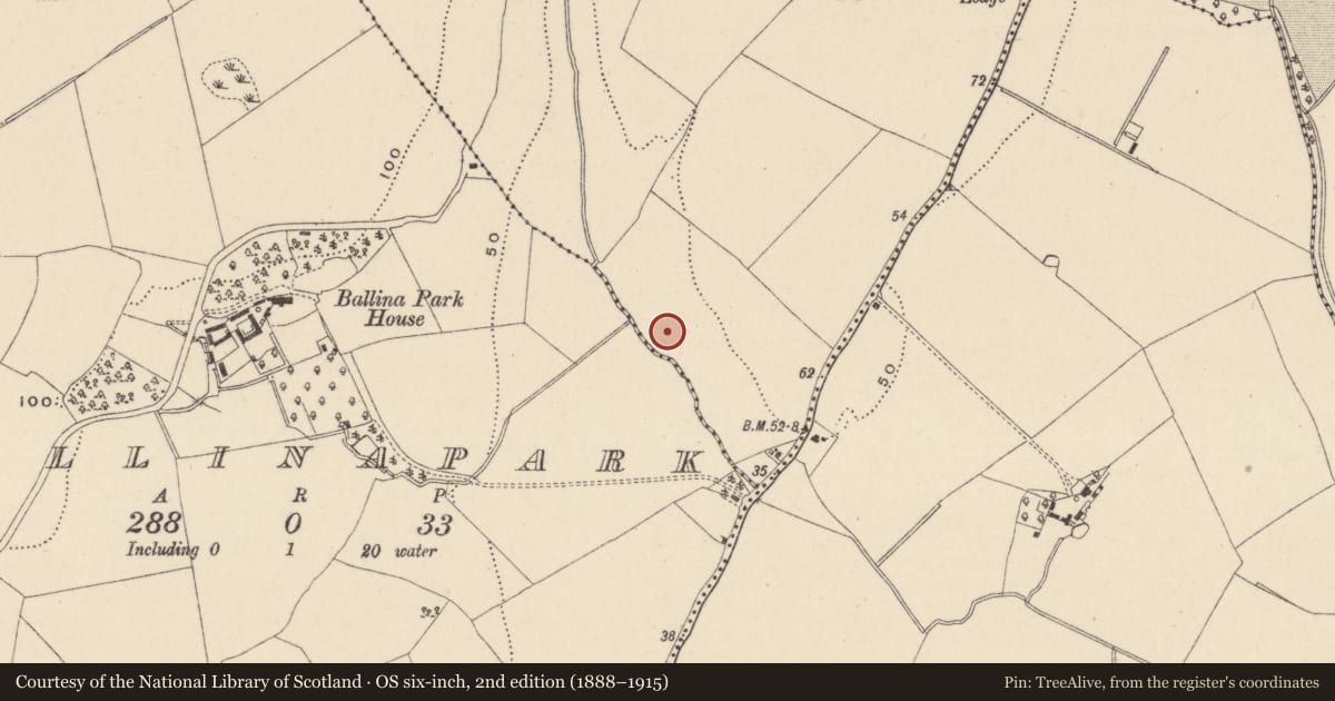 Ordnance Survey six-inch map, 2nd edition (1888–1915) covering the location of Fulacht fia, Cronykeery, County Wicklow, with a pin at the register's coordinates
