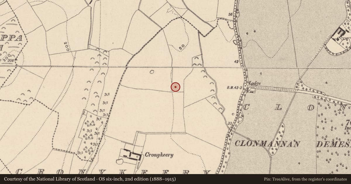 Ordnance Survey six-inch map, 2nd edition (1888–1915) covering the location of Fulacht fia, Cronykeery, County Wicklow, with a pin at the register's coordinates