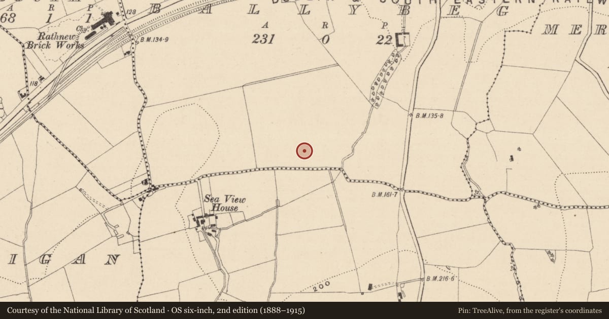 Ordnance Survey six-inch map, 2nd edition (1888–1915) covering the location of Habitation site, Ballybeg, County Wicklow, with a pin at the register's coordinates