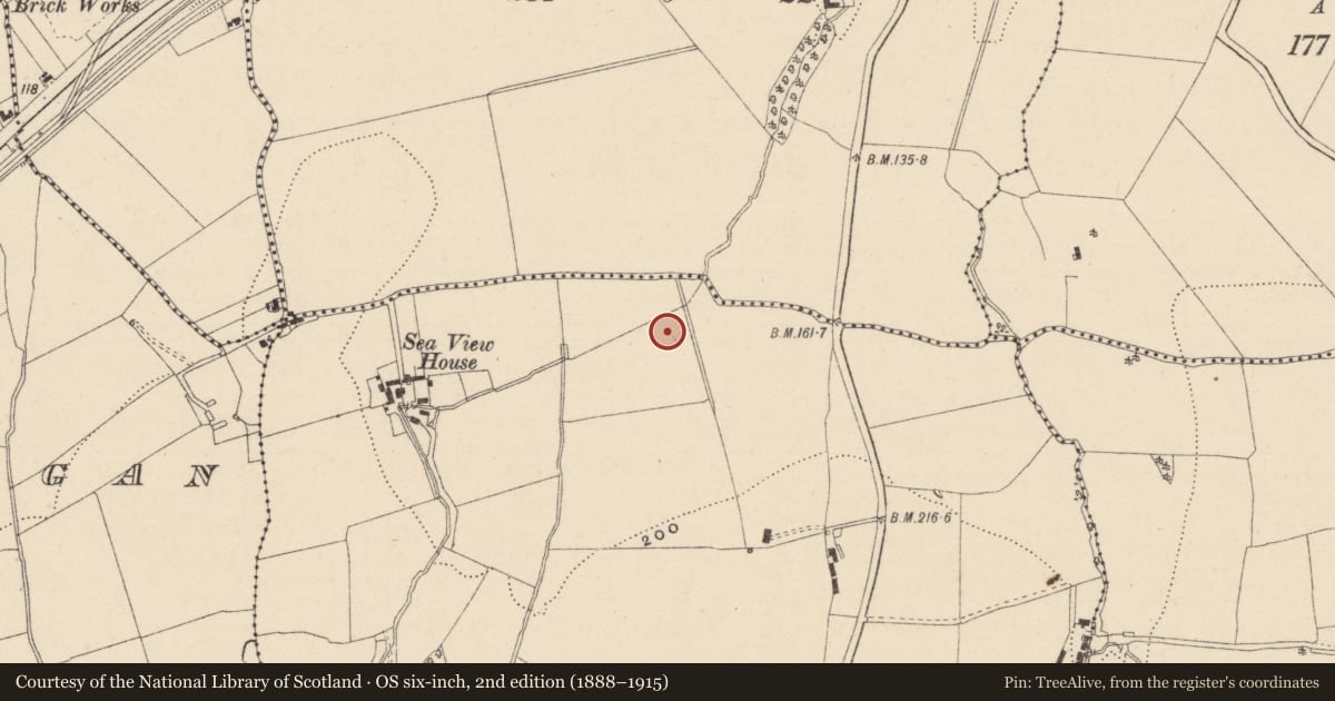 Ordnance Survey six-inch map, 2nd edition (1888–1915) covering the location of Burnt mound, Ballynabarny, County Wicklow, with a pin at the register's coordinates