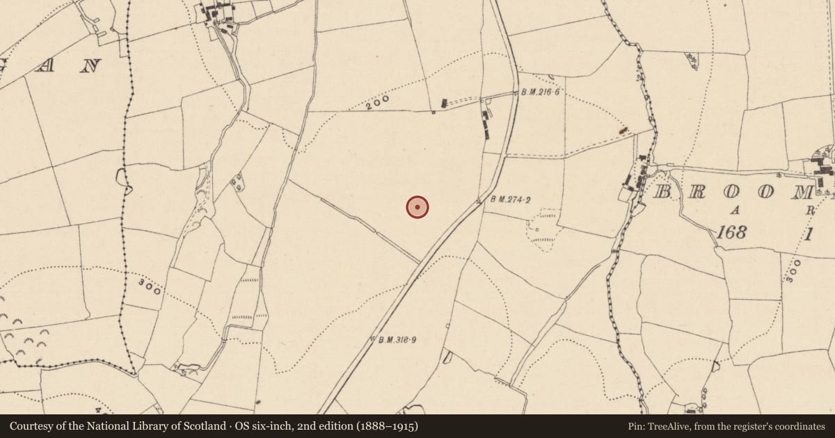 Ordnance Survey six-inch map, 2nd edition (1888–1915) covering the location of Habitation site, Ballynabarny, County Wicklow, with a pin at the register's coordinates