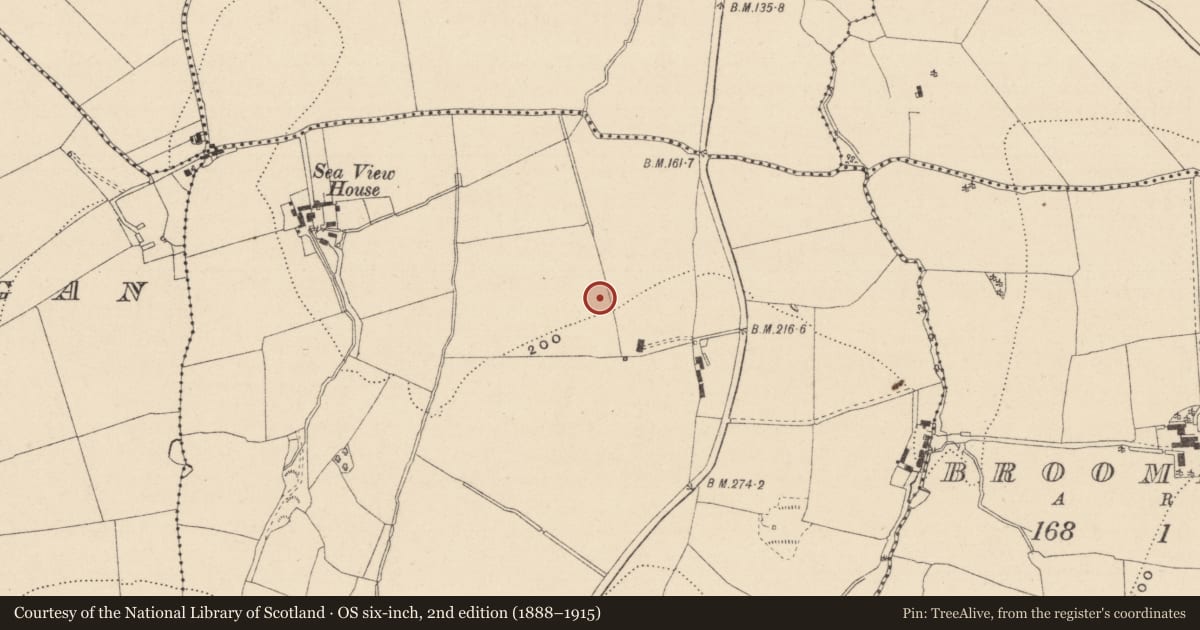 Ordnance Survey six-inch map, 2nd edition (1888–1915) covering the location of Fulacht fia, Ballynabarny, County Wicklow, with a pin at the register's coordinates