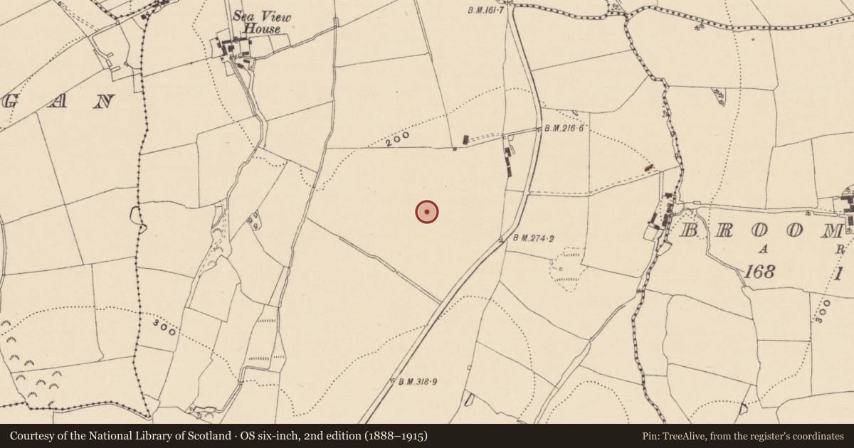Ordnance Survey six-inch map, 2nd edition (1888–1915) covering the location of Habitation site, Ballynabarny, County Wicklow, with a pin at the register's coordinates